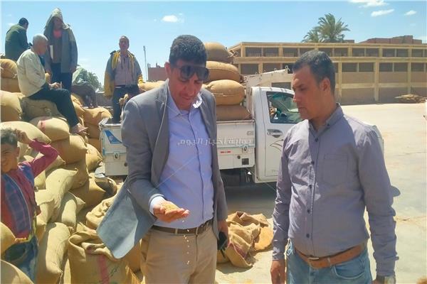 نائب محافظ المنيا يتابع عمليات توريد القمح