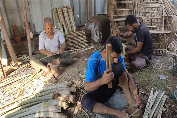60 ورشة لصناعة منتجات الجريد بقرية " شنوان " بمحافظة المنوفية 
