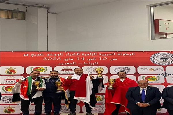 البطولة العربية للكونغ فو