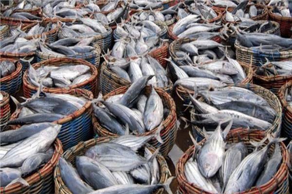 انعقاد لجنة الزراعة والثروة السمكية المنبثقة عن اتفاقية المشاركة المصرية الأوروبية