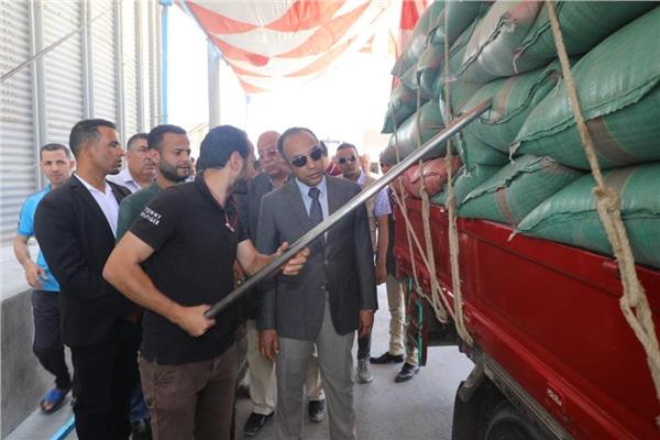 نائب محافظ المنيا يتابع عملية توريد القمح
