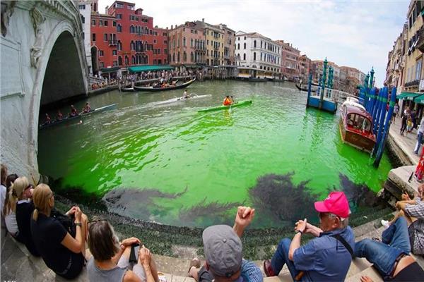 سائل أخضر غريب في مياه البندقية