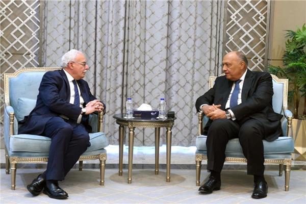 لقاء وزير الخارجية سامح شكري بنظيره الفلسطيني رياض المالكي