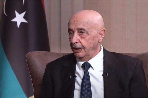 المستشار عقيلة صالح، رئيس مجلس النواب الليبي