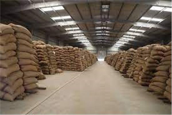 شون وصوامع المنيا تستقبل 438 ألف طن من محصول القمح بجميع المراكز