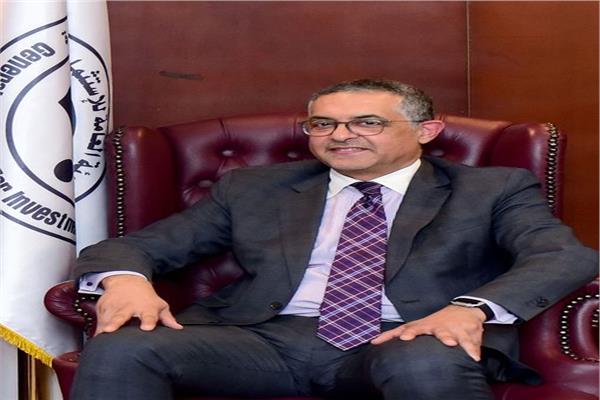 حسام هيبة، الرئيس التنفيذي للهيئة العامة للاستثمار والمناطق الحرة