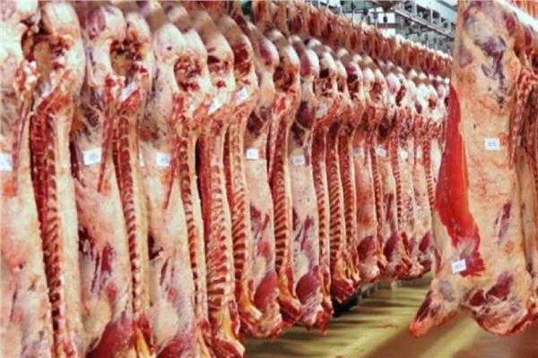استقرار اسعار اللحوم 