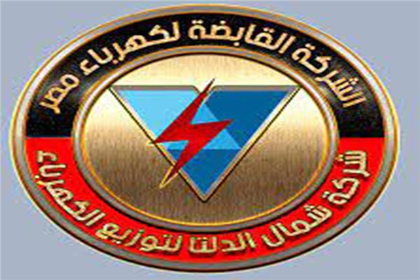 شعار شركة شمال الدلتا لتوزيع الكهرباء