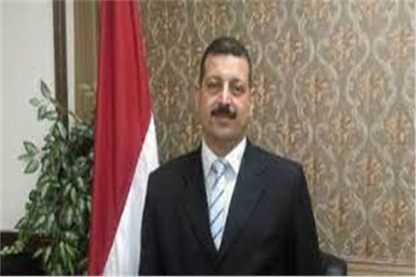 الدكتور أيمن حمزة، المتحدث الرسمي باسم وزارة الكهرباء والطاقة