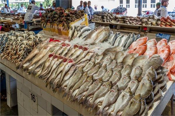 أسعار الأسماك اليوم - صورة أرشيفية