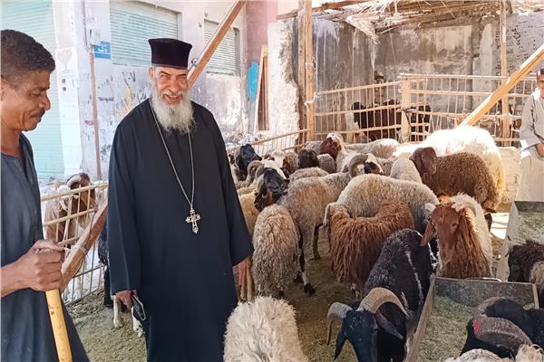 القمص يؤنس أديب، أسقف الكاثوليك في الغردقة يشتري خراف العيد