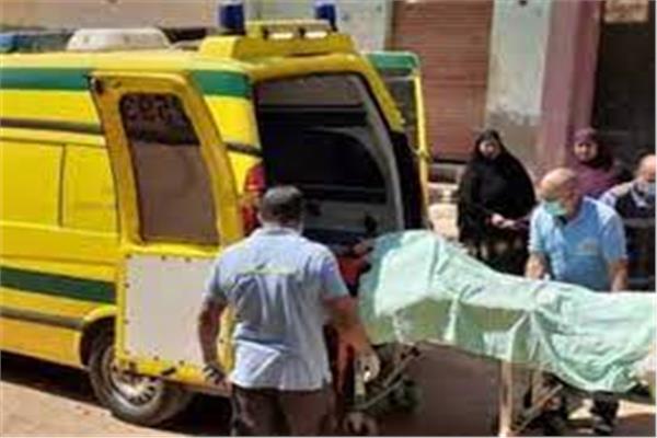 إصابة طفلتين في حادث انقلاب سيارة بالمنيا 