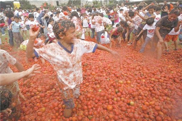 ١٠٠ طن طماطم فى الحرب