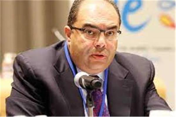 د. محمود محيي الدين، رائد المناخ للرئاسة المصرية