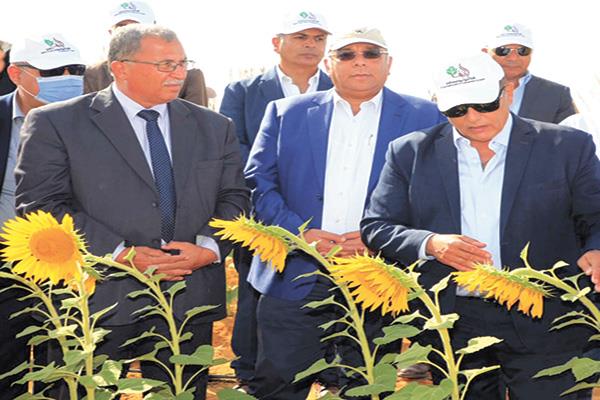 رئيس شركة الريف المصرى خلال متابعة حصاد الـ ١٫٥ مليون فدان
