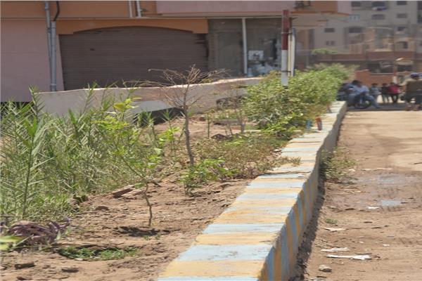 القليوبية تطلق مبادرة "قريتى جميلة ونظيفة" وتستهدف زراعة 3000 شجرة