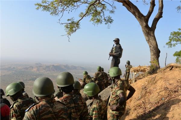 الجيش الكاميروني - أرشيفية