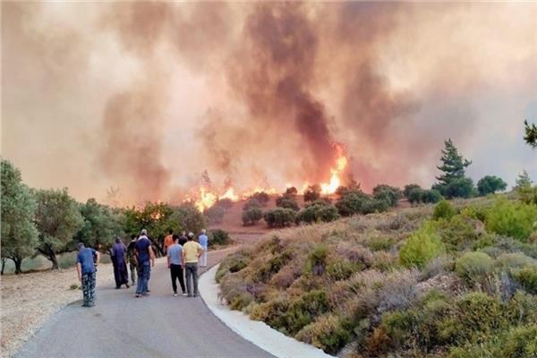 حرائق جزيرة رودوس في اليونان