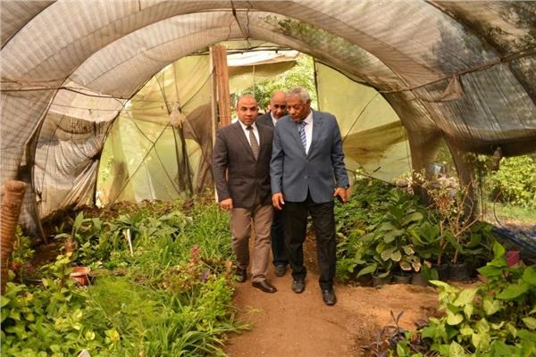 جامعة أسيوط تزرع 200 شتلة نباتية ضمن المبادرة الرئاسية 100 مليون شجرة