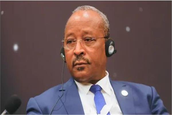 حسومي مسعودو، وزير الخارجية النيجر