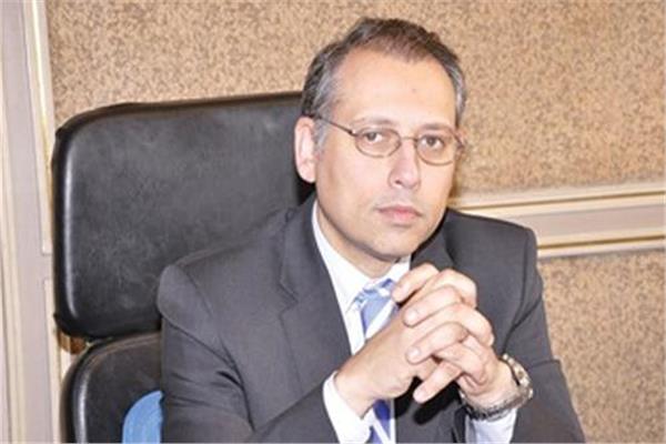  نزيه النجاري سفير مصر في روسيا