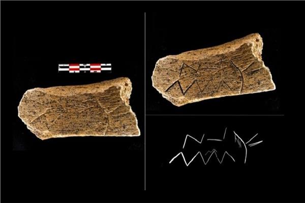 ظمة مزخرفة عمرها حوالي 80 ألف عام