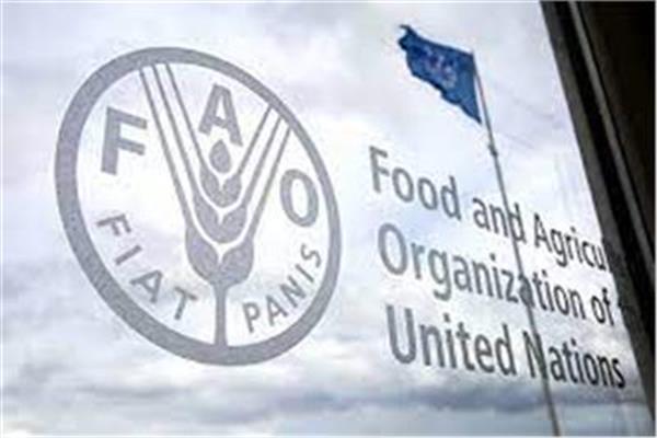  منظمة الأغذية و الزراعة 