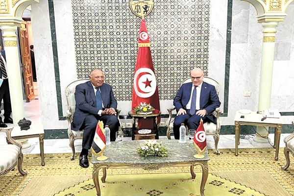 ■ وزير الخارجية خلال اللقاء مع نظيره التونسى