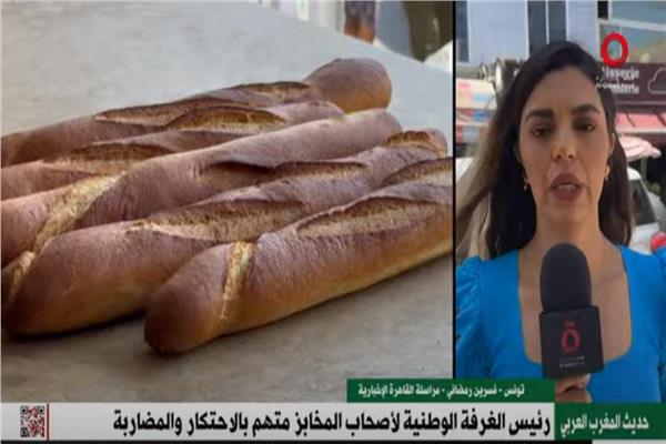 نسرين رمضاني، مراسلة القاهرة الإخبارية من تونس