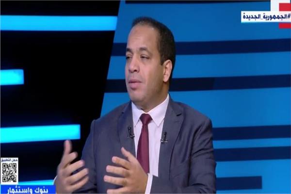 الدكتور عبد المنعم السيد، مدير مركز القاهرة للدراسات الاقتصادية