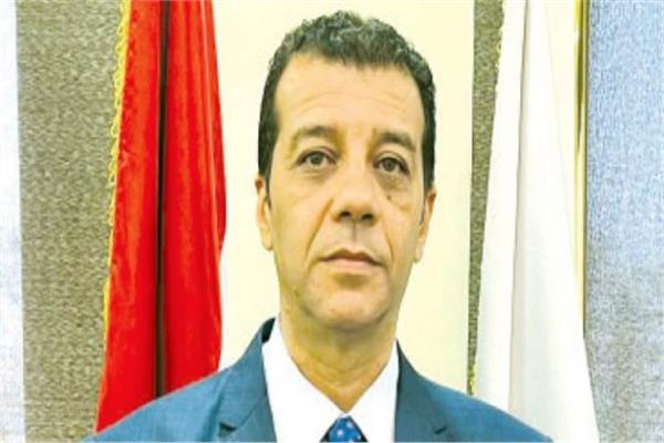  المستشار وليد حمزة، رئيس الهيئة الوطنية للانتخابات