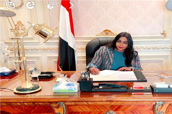 النائبة نيفين حمدي عضو إفريقية النواب عن زيارة وفد الكونجرس الأمريكي لمصر