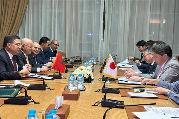 الحوار السياسي العربي الياباني