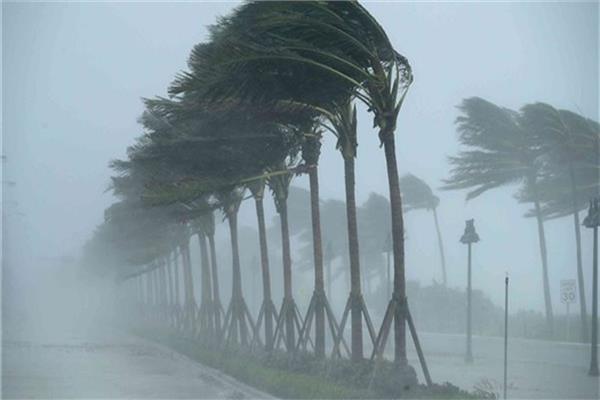 نصائح للتعامل مع العواصف لتفادي المخاطر 