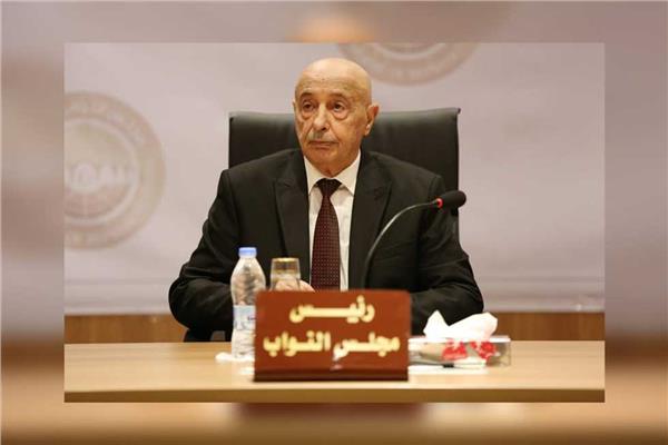 المستشار عقيلة صالح رئيس مجلس النواب الليبي
