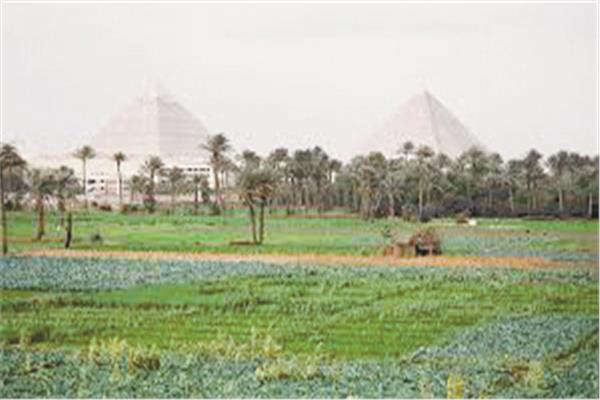«السياحة الخضراء» فى مصر الجديدة