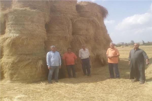  حملات توعية المزارعين بمنظومة جمع وتدوير قش الأرز