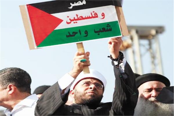 مظاهرات احتجاجية لحملة الرسمية للمرشح عبدالفتاح السيسي لدعم فلسطين