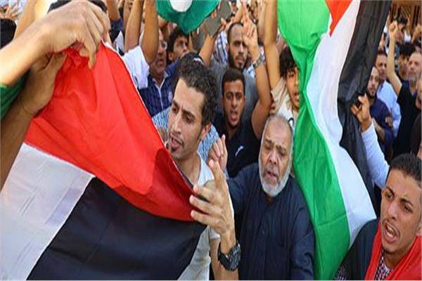 القضية الفلسطينية تمثل كل اهتمامات السياسة المصرية
