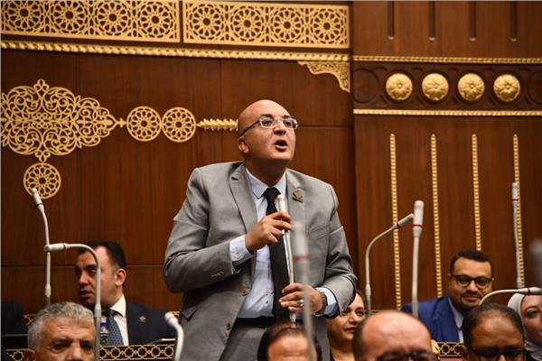 النائب عمرو عزت عضو مجلس الشيوخ