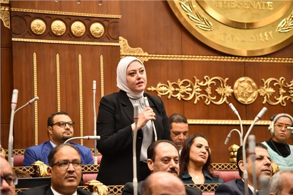 النائبة  نهى أحمد زكي عضو مجلس الشيوخ