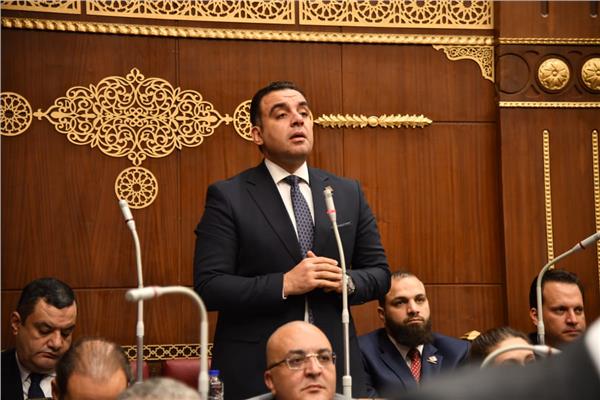 النائب محمد السباعي وكيل لجنة الزراعة والري واستصلاح الأراضي بمجلس الشيوخ