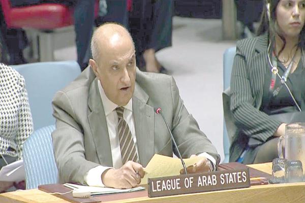 السفير ماجد عبدالفتاح رئيس بعثة الجامعة العربية فى الأمم المتحدة 