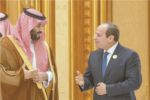 الرئيس عبدالفتاح السيسى و الأمير محمد بن سلمان يتباحثان القضية الفلسطينية