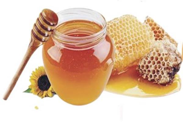عسل النحل