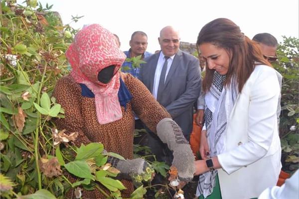 الدكتورة نهال بلبع نائب محافظ البحيرة