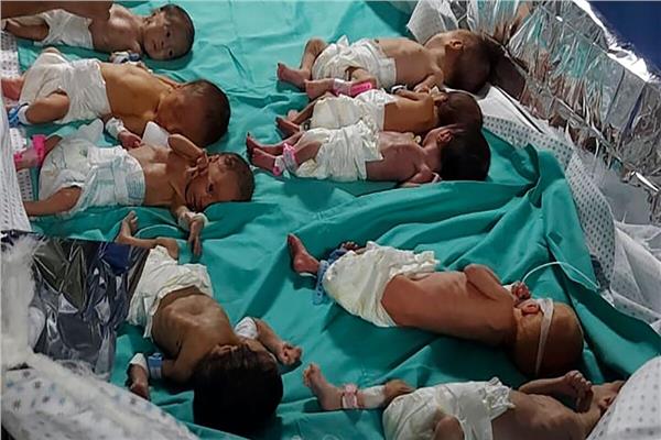 جهود مصرية مكثفة لنقل أطفال حديثي الولادة من قطاع غزة