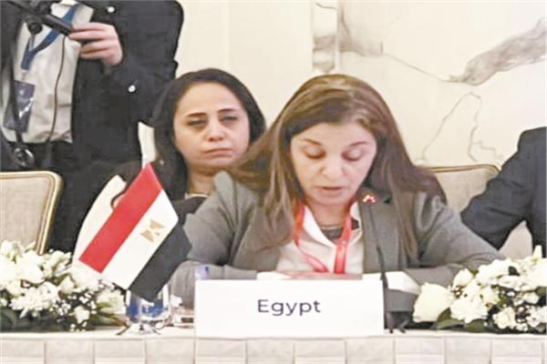 ممثلة مصر أثناء إلقاء كلمة بالمؤتمر 