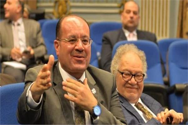 النائب  أمين جابر الصيرفي عضو لجنة العلاقات الخارجية