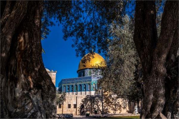 مدينة القدس في فلسطين 